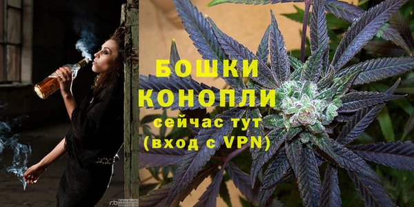 хмурый Каменногорск