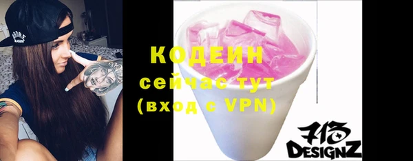 хмурый Каменногорск