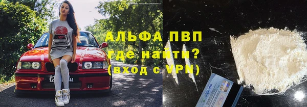 крисы Касимов