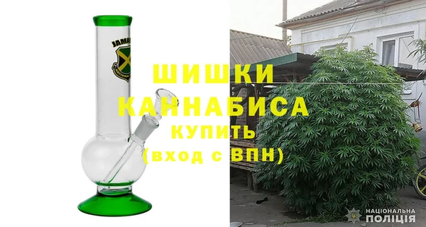 хмурый Каменногорск