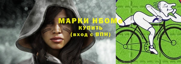 хмурый Каменногорск