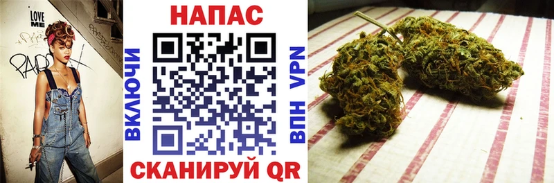 Конопля план  закладка  Луза 